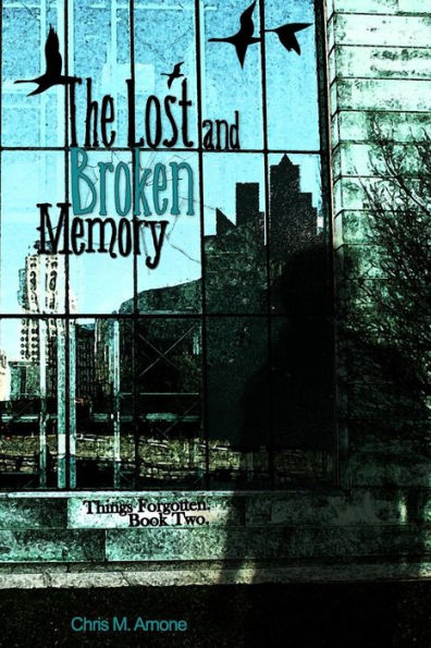 The Lost and Broken Memory