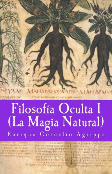 Filosofia Oculta I