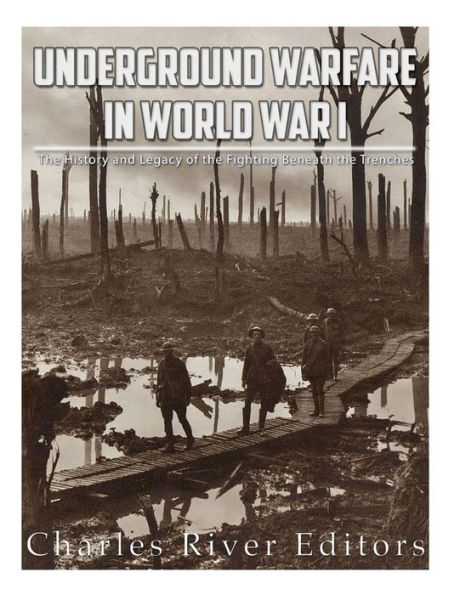 Underground Warfare in World War I: The History and Legacy of the Fighting Beneath and Between the Trenches