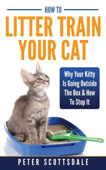 How To Litter Train Your Cat: Why Kitty Is Going Outside The Box & Stop It