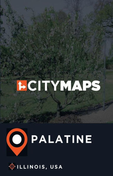 City Maps Palatine Illinois, USA