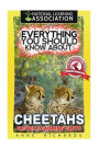 Everything You Should Know About: Cheetahs