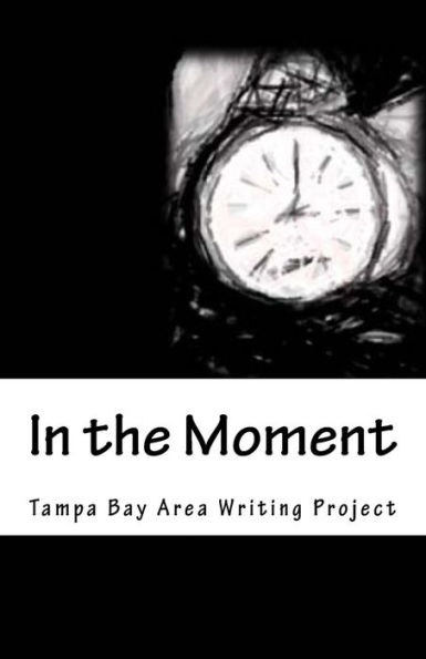 In the Moment: The 2017 Tampa Bay Area Writing Project Anthology