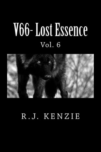 V66- Lost Essence Vol. 6