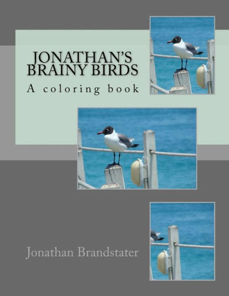 Jonathan's Brainy birds: A Coloring Book