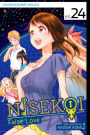 Nisekoi: False Love, Vol. 24: Night of Falling Stars
