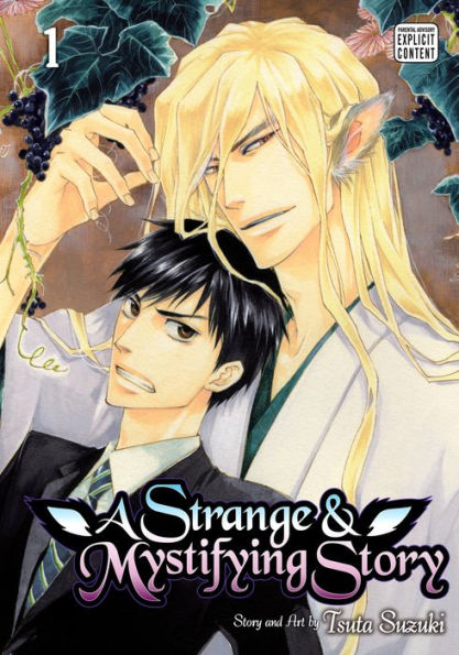 A Strange and Mystifying Story, Vol. 1 (Yaoi Manga)