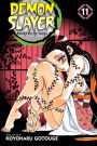 Demon Slayer: Kimetsu no Yaiba, Vol. 11