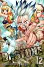 Dr. Stone, Vol. 12: The Secret Of Petrification