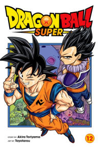 Dragon Ball Super: Dragon Ball Super, Vol. 15 (Series #15) (Paperback)