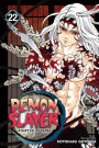 Demon Slayer: Kimetsu no Yaiba, Vol. 22: The Wheel Of Fate