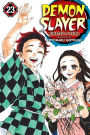 Demon Slayer: Kimetsu no Yaiba, Vol. 23: Life Shining Across The Years