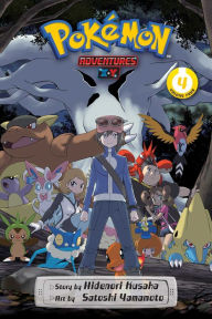Pokémon Adventures: X.Y, Vol. 4