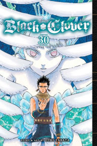 Title: Black Clover, Vol. 30, Author: Yuki Tabata