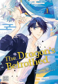 Free internet books download The Dragon's Betrothed, Vol. 1 English version by Meguru Hinohara