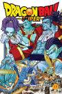 Dragon Ball Super, Vol. 13: Battles Abound by Akira Toriyama, eBook