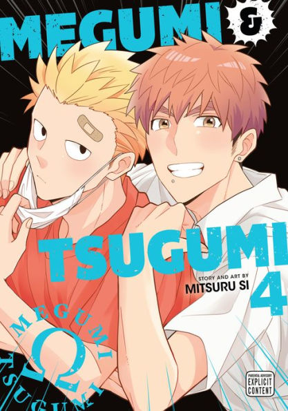 Megumi & Tsugumi, Vol. 4 (Yaoi Manga)