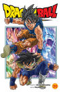 Dragon Ball Super, Vol. 20 by Akira Toriyama, Paperback