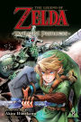 The Legend of Zelda: Twilight Princess, Vol. 8
