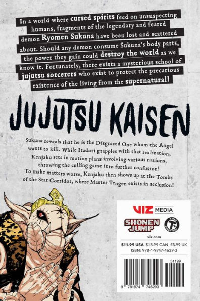 Jujutsu Kaisen, Vol. 23