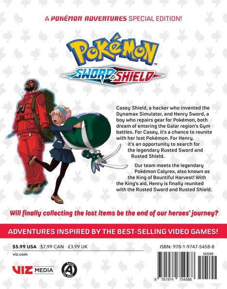 Pokémon: Sword & Shield, Vol. 13