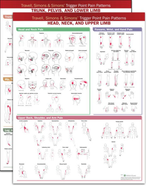 Travell, Simons & Simons' Trigger Point Pain Patterns Wall Charts Package