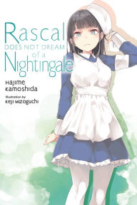 Download books to iphone kindle Rascal Does Not Dream of a Nightingale (light novel)