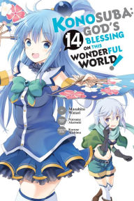 Title: Konosuba: God's Blessing on This Wonderful World!, Vol. 14 (manga), Author: Natsume Akatsuki