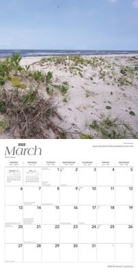 2022 Louisiana Wild & Scenic Wall Calendar by BROWNTROUT | Barnes & Noble®