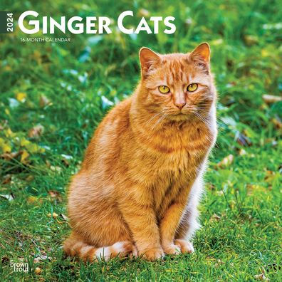 Ginger Cats 2024 Square