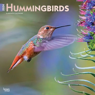 Hummingbirds 2024 Square Foil