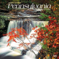 Title: Pennsylvania Wild & Scenic 2024 Square