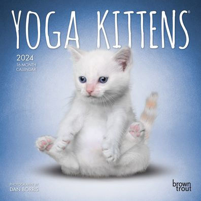 Yoga Kittens 2024 Mini 7x7