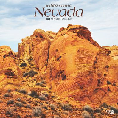 2025 Nevada Wild & Scenic Square Wrap