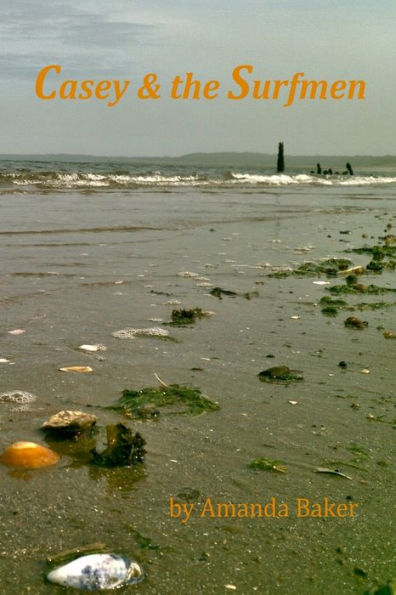 Casey & the Surfmen: A magical, modern fable in verse about the environment