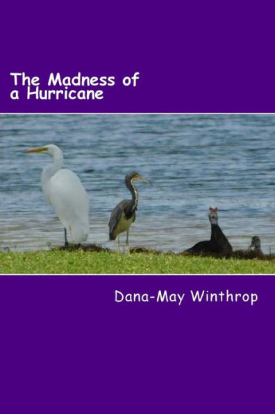 The Madness of a Hurricane