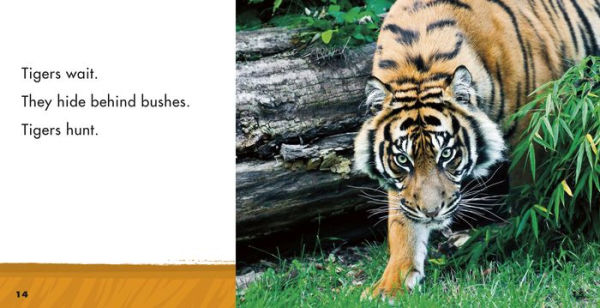 Tigers: A 4D Book