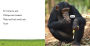 Alternative view 2 of Chimpanzees: A 4D Book