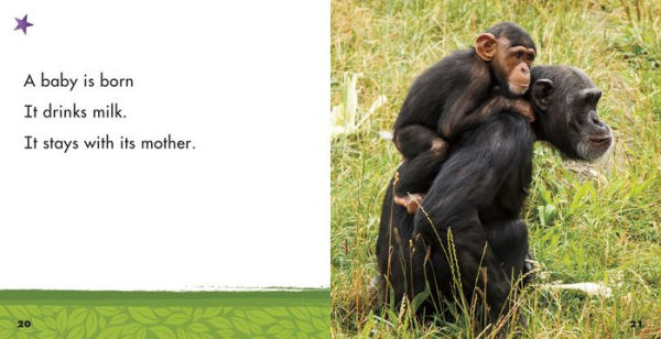 Chimpanzees: A 4D Book