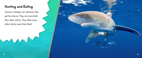Oceanic Whitetip Sharks: A 4D Book