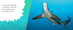 Alternative view 2 of Thresher Sharks: A 4D Book