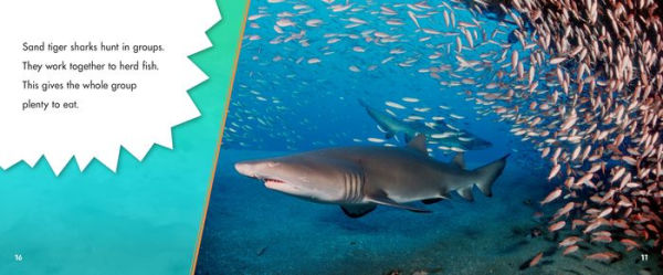 Sand Tiger Sharks: A 4D Book