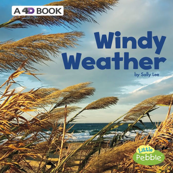 Windy Weather: A 4D Book