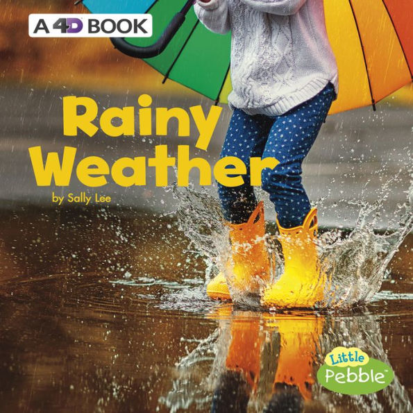 Rainy Weather: A 4D Book