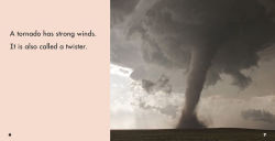 Alternative view 3 of What Are Tornadoes?