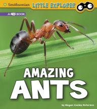 Title: Amazing Ants: A 4D Book, Author: Megan Cooley Peterson