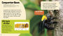 Alternative view 3 of Buzzing Bees: A 4D Book