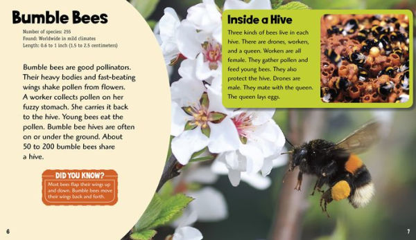 Buzzing Bees: A 4D Book