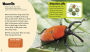 Alternative view 2 of Brilliant Beetles: A 4D Book