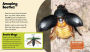 Alternative view 3 of Brilliant Beetles: A 4D Book